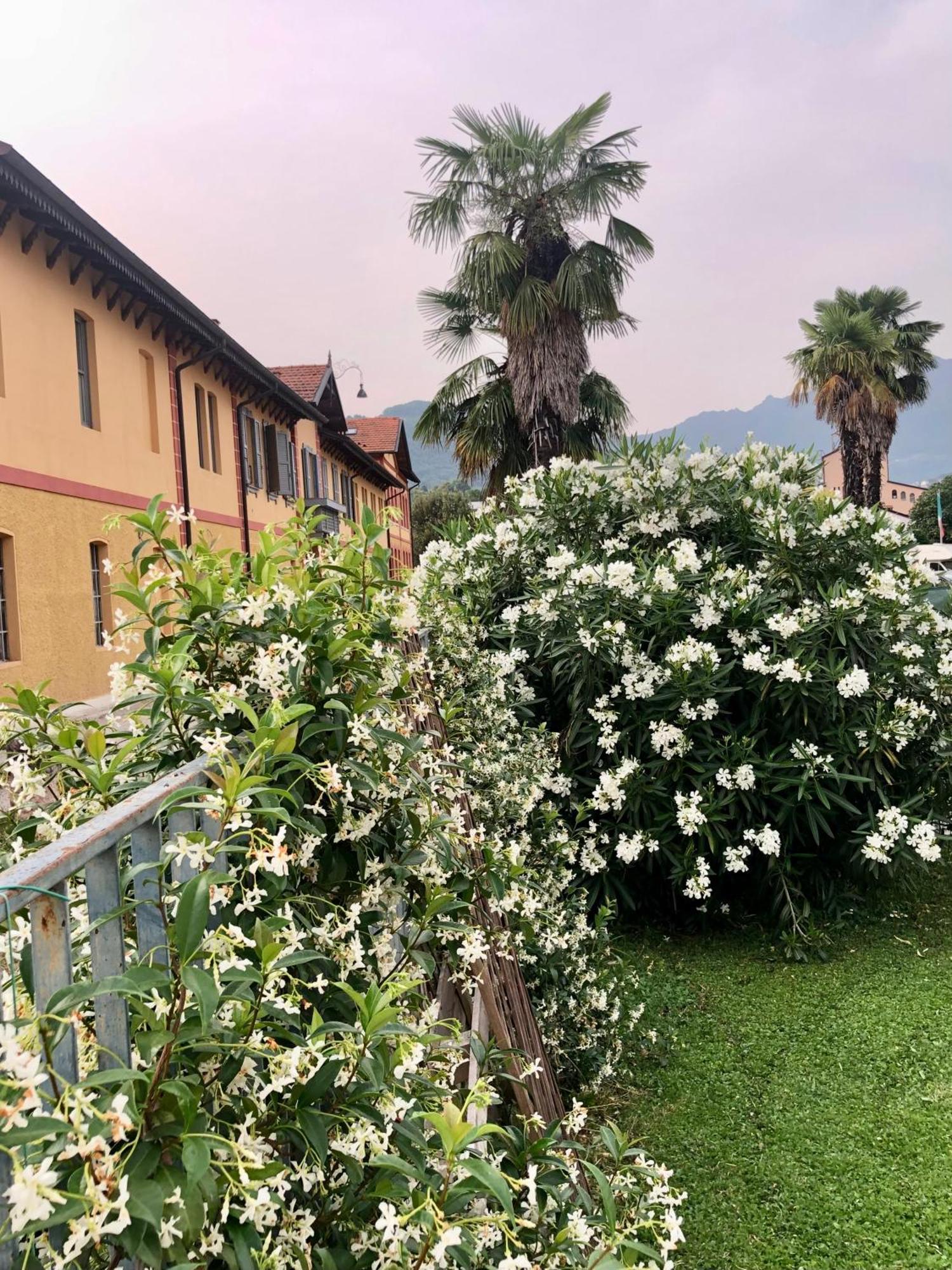 Roggia Maestra B&B Schio Ngoại thất bức ảnh